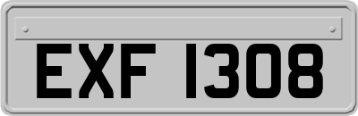 EXF1308