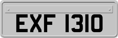 EXF1310