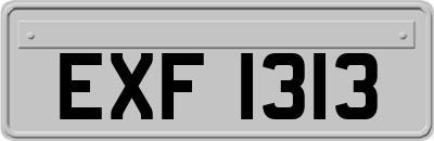 EXF1313