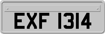 EXF1314