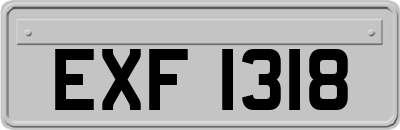 EXF1318
