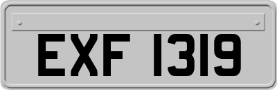 EXF1319