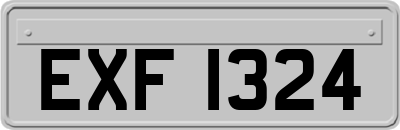 EXF1324