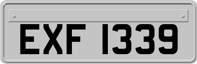EXF1339