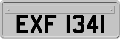 EXF1341
