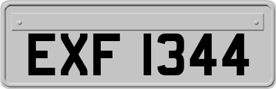 EXF1344