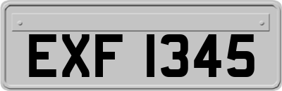 EXF1345