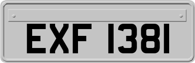 EXF1381