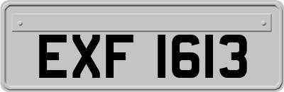 EXF1613