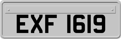 EXF1619