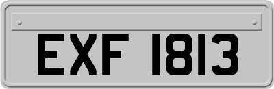 EXF1813