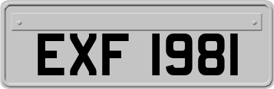 EXF1981