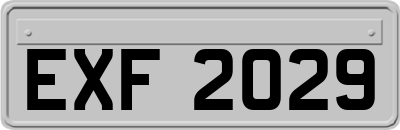EXF2029