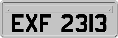 EXF2313