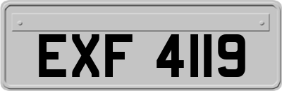 EXF4119