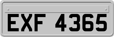 EXF4365