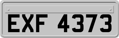 EXF4373