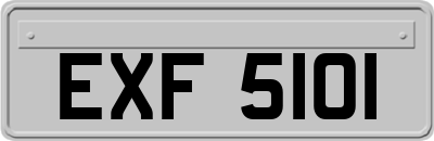 EXF5101