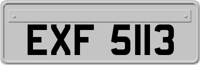 EXF5113