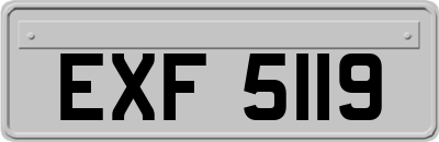 EXF5119