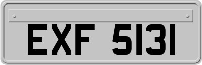 EXF5131