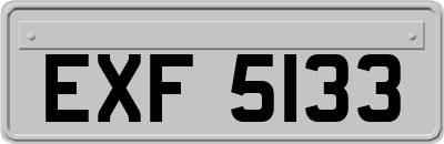 EXF5133