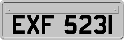 EXF5231