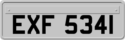 EXF5341