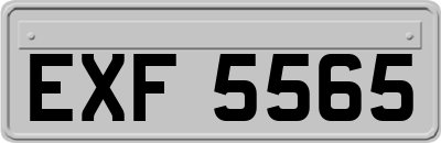 EXF5565