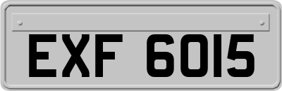 EXF6015
