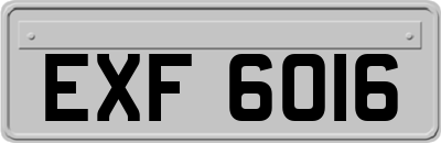 EXF6016