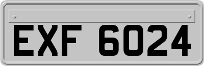 EXF6024