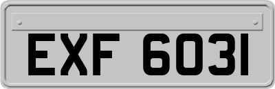 EXF6031
