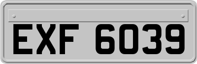 EXF6039
