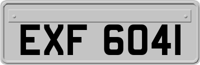 EXF6041