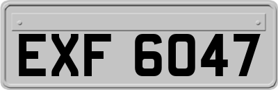 EXF6047