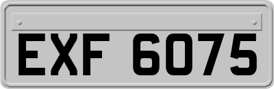 EXF6075