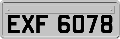 EXF6078