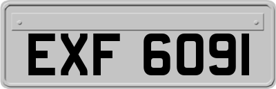 EXF6091