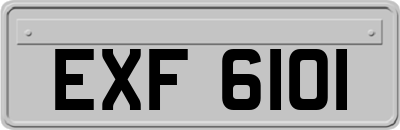 EXF6101