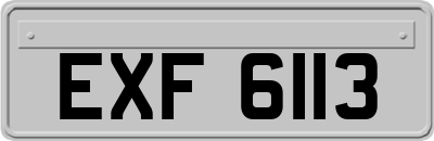EXF6113