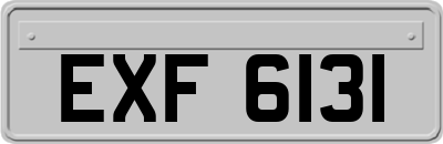 EXF6131