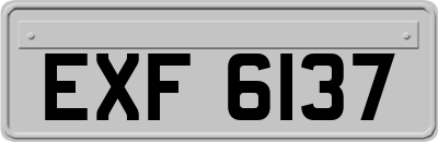 EXF6137