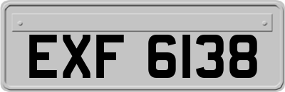 EXF6138