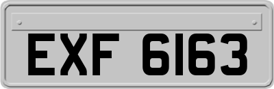 EXF6163