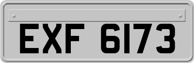 EXF6173