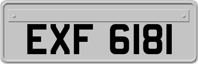 EXF6181