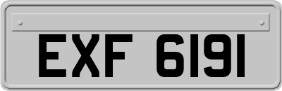 EXF6191