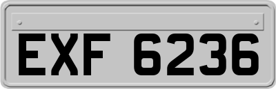 EXF6236