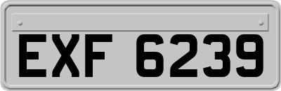 EXF6239